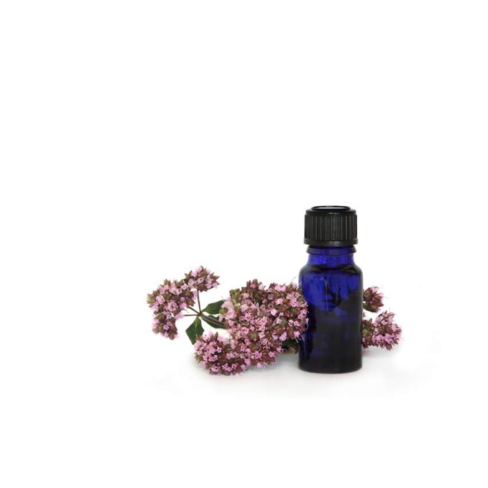 850_-Egyptian-Marjoram_p