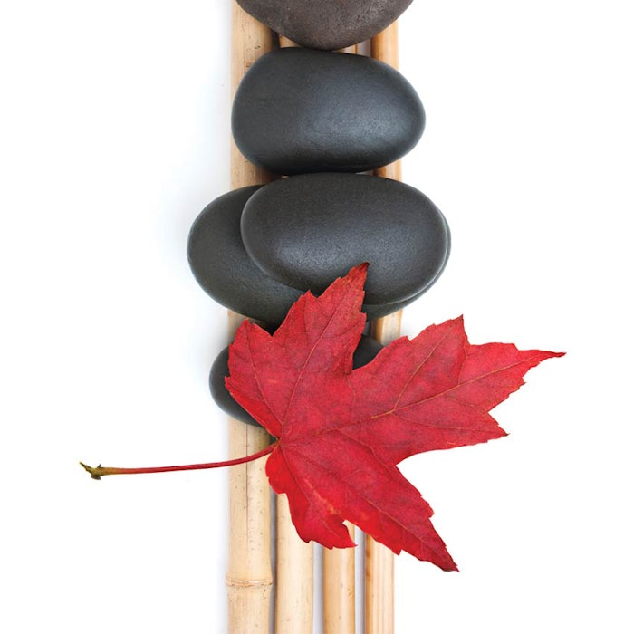 SI1605_Canada_dream_20319428_leaf_850