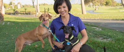 Images courtesy of FG Creative