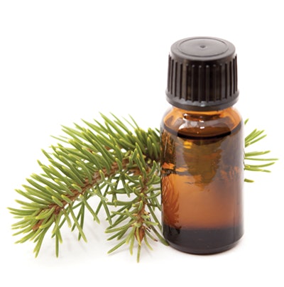 If you are performing a relaxing and calming aromatherapy massage, consider adding Origanum marjorana (marjoram), Lavendula angustifolia (lavender) or Santalum album (sandalwood). For a warming and stimulating massage, try Zingiber officinale(ginger), Abies alba (Douglas fir), Eletteria cardamomum(cardamom) or Rosmarinus officinalis (Rosemary).