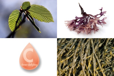 Four ingredients
