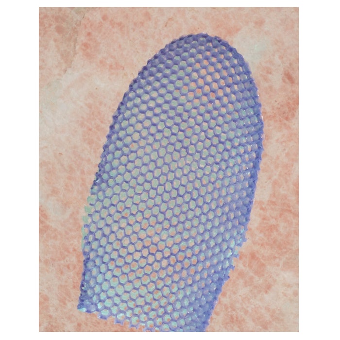 dualsidedbathmitt_SI16_850