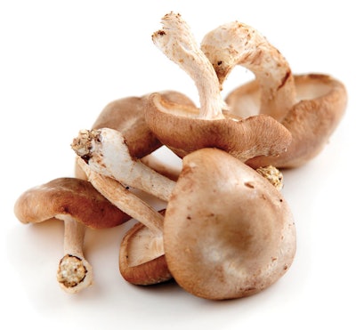 B5 Pantothenic Acid. Vitamin B5 is a component of coenzyme A (CoA), an essential coenzyme required for chemical reactions that generate energy from food (fat, carbohydrates and proteins). It also is involved in the synthesis of essential fats, cholesterol and steroid hormones such as estrogen and testosterone.