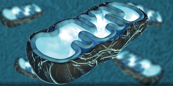 SI1611_CellEnergy_dream_16766278_cell_850_np