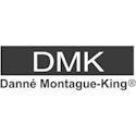 SI16_SL_DMK_300