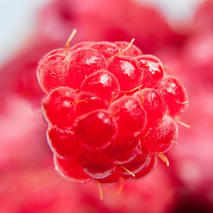 Raspberry850