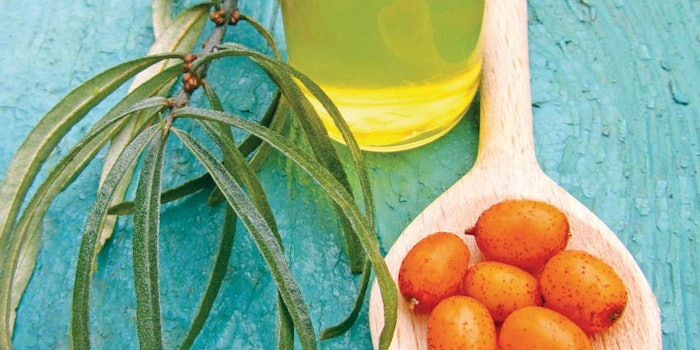 SI1701_Oils_dream_27320674_oilBerries_800_np