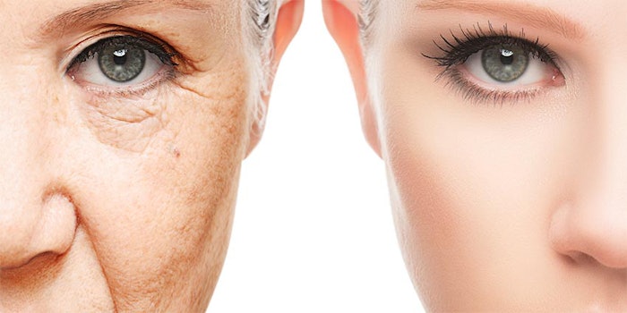 AgingTelomeres_425