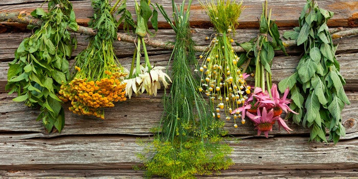 AromatherapyMarket_425