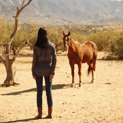 equine-therapy