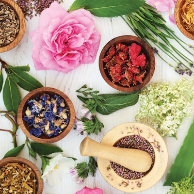 botanical-ingredients