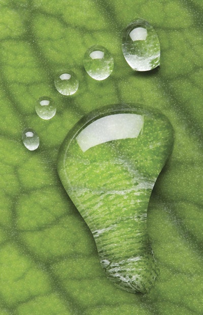 footprint
