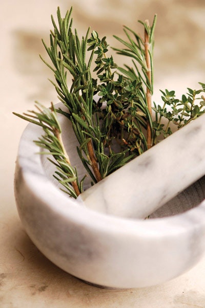 Rosemary (Rosmarinus officinalis)
