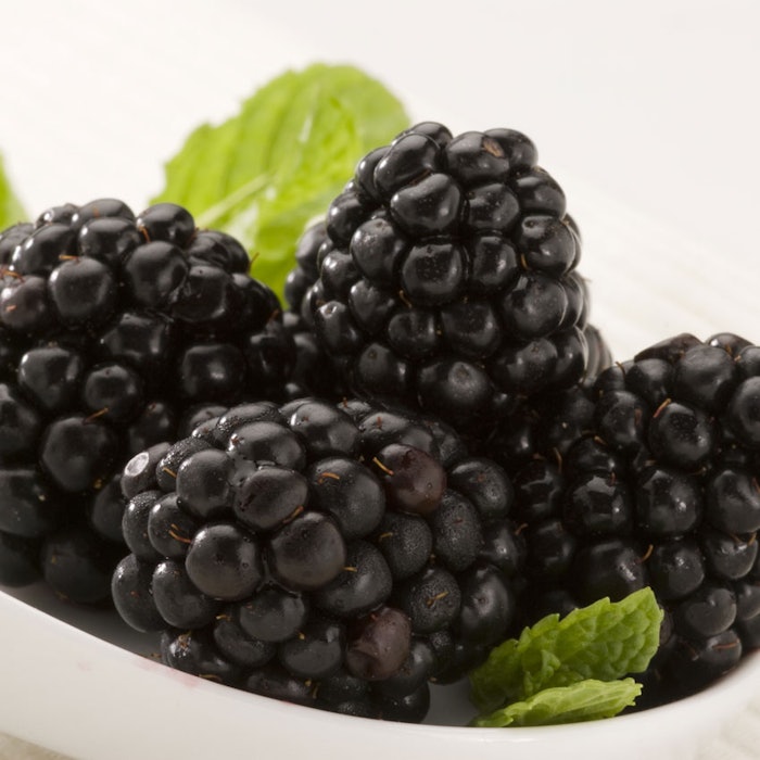 MulberriesinDish850
