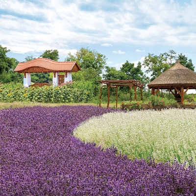 Eminence_Organic_Farm