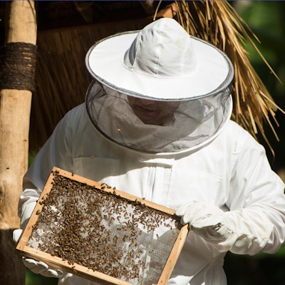 wild-sayan-honey