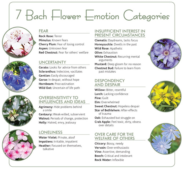 Positive Health Online  Article - Impact of Bach Flower Remedies on Stress  Among Emergency and Health Service Workers