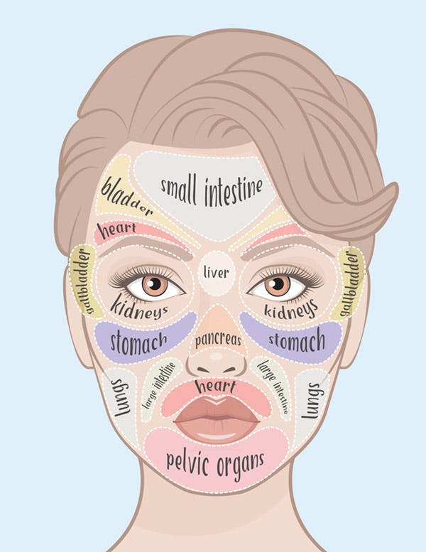 Face Mapping: Connecting Acne With Internal Health  Skin Inc.