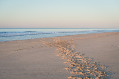 4 Lifestyle – Beach Footprints