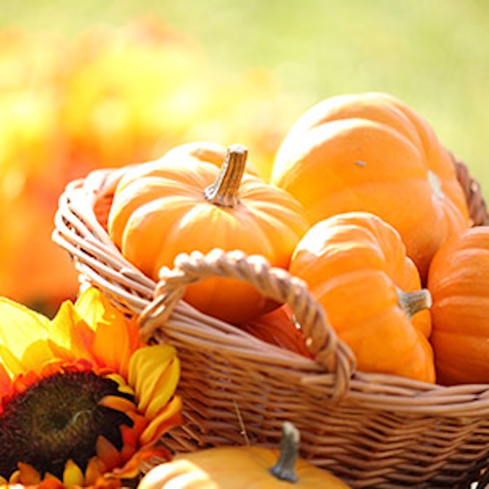 autumn-pumpkins-300x300