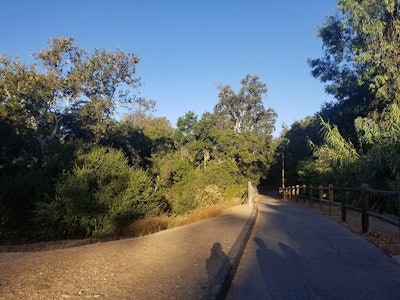 brisk-walk