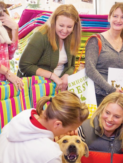 farmhouse-fresh-dog-bed-fairy