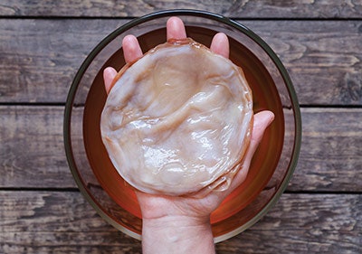 A jellyfish