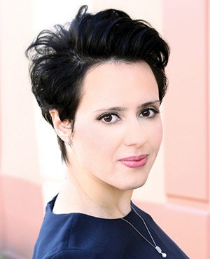 Si Author I Veljkovic 3001