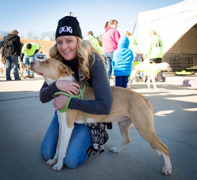 natalie-aston-animal-adoption