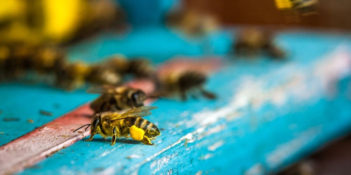 planetbeefoundation_np1