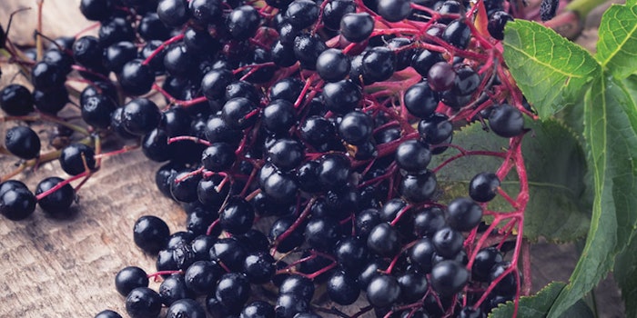 SI1805_Jar_dreamstime_35998328_elderberry_850_np