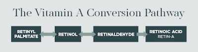 In the body, we convert Beta Carotene into Retinol, Retinol into Retinaldehyde and Retinaldehyde into Retinoic Acid. All of these vitamin A derivatives have important and proven activity in the skin, but because of the size of the molecule, they struggle to penetrate the epidermis when applied topically, resulting in the irritation and sun-sensitivity that can come with using certain forms of vitamin A. However, research has shown that Retinaldehyde and Retinoic Acid are 500 times more active than their vitamin A counterparts (Beta Carotene and Retinol), meaning smaller amounts can be used and absorbed into the skin to achieve those skin-smoothing results. Why Retinaldehyde over Retinoic Acid? Once the skin converts Retinaldehyde to Retinoic Acid, it cannot be converted back into a form of vitamin A that can be stored. So, though it may penetrate the epidermis, the skin converts only enough to perform the desired function and leaves the rest in storage forms, and Retinoic Acid cannot be stored by the body, which means applying topical Retin-A can result in two things: irritation from over-stimulation and over-exfoliation. Retinaldehyde, in addition to having its own receptor activity, is the immediate precursor of Retinoic Acid, so the skin will convert a significant amount to that form upon application without the overstimulation because the skin is able to regulate the conversion, making only what it needs and storing the rest in adipose tissue.