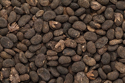 Si1810 Aging Dream 72238248 400