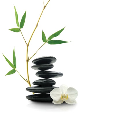 spa-trends-2019