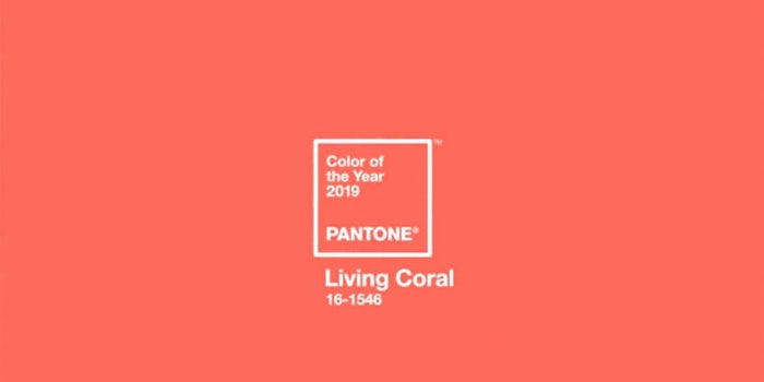 Coral4252