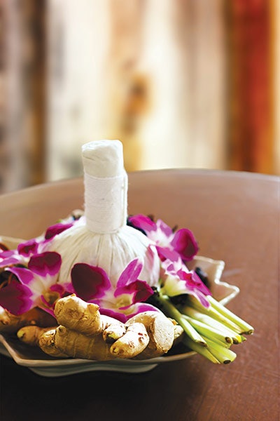 Si1901 Jar Dreamstime 29539804 Ginger Flowers 400