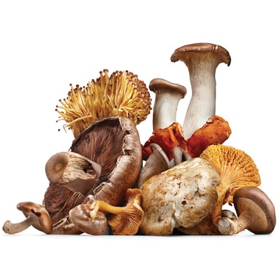 mushroom-beauty-products