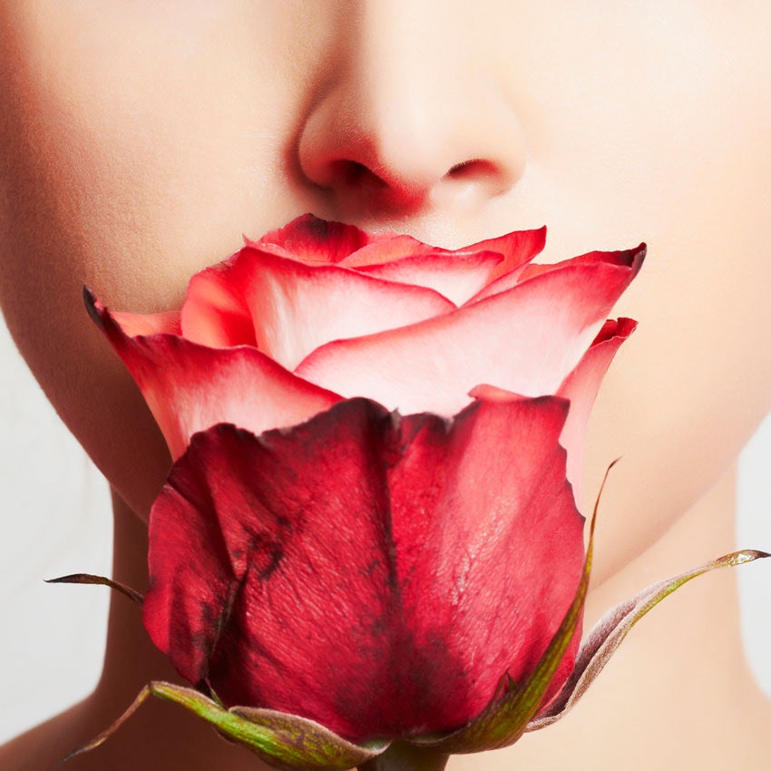 5 Major Skin Care Benefits Of Roses Skin Inc 5 Major Skin Care Benefits Of Roses Skin Inc