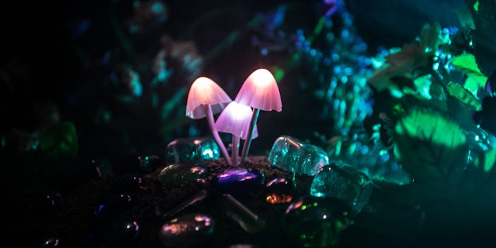 magicmushroomretreat_np