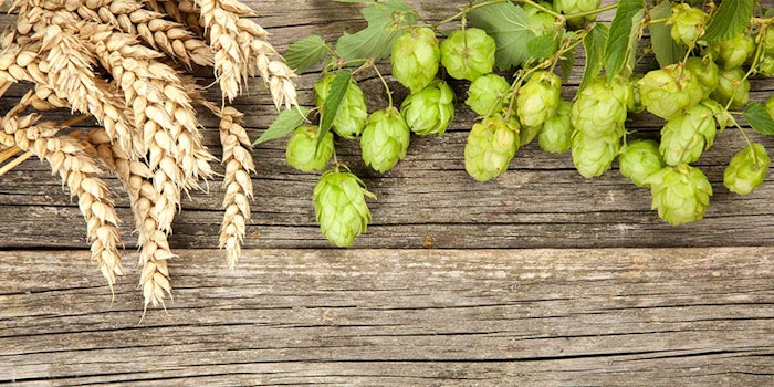 850x425_bierspa