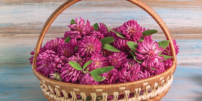 SI1904_JarDeco_dreamstime_95709696_Basket_850_np