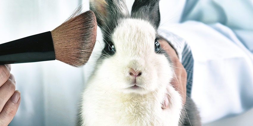 Cosmetics That Are Kind to Animals | Skin Inc.