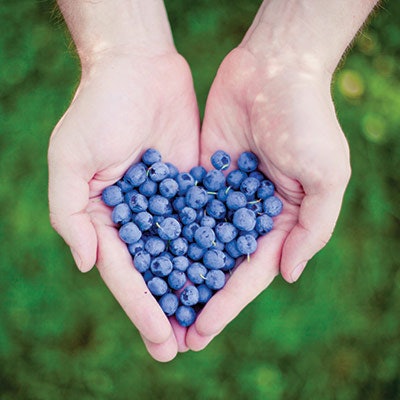 Si1905 Biblerry Dreamstime Xxl 20941375 Hands 400