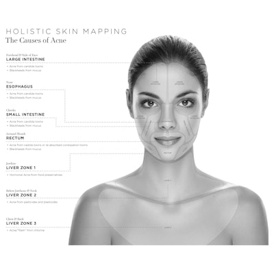Figure-1-Holistic-Skin-Mapping