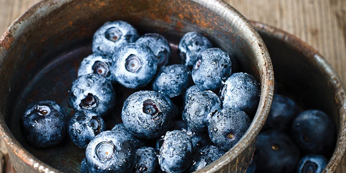 SI1905_bilberry_dreamstime_xxl_28864633_bowl_850_np