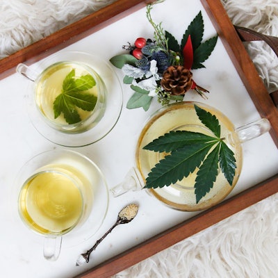 Cannabis-Master-program