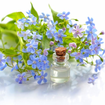 aromatherapy-bloom-blossom