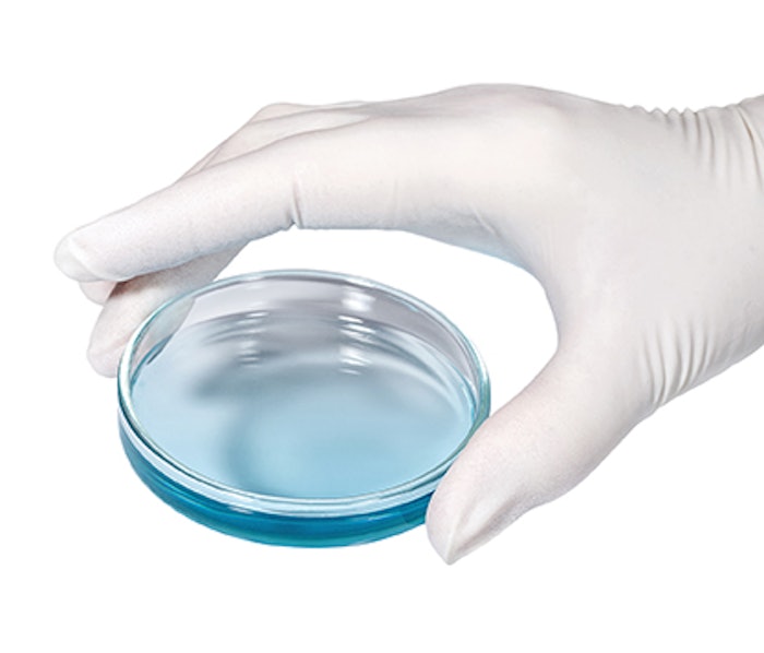 Hand in medical latex glove with petri dish