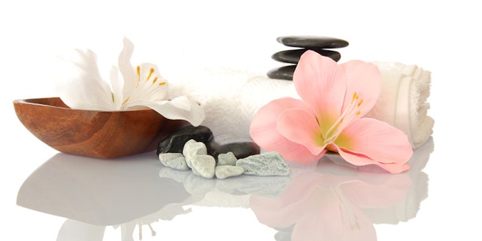 wellnesstrendreport_np