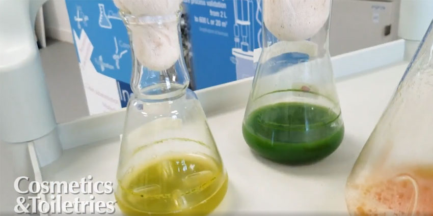 SedermaMainImage850x425